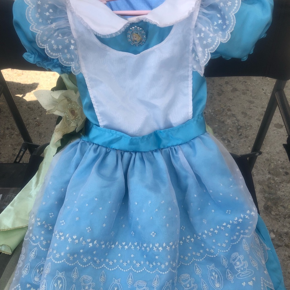 Alice in wonderland costume